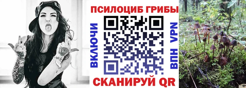 купить цена Котельниково KRAKEN как войти Галлюциногенные грибы прущие грибы