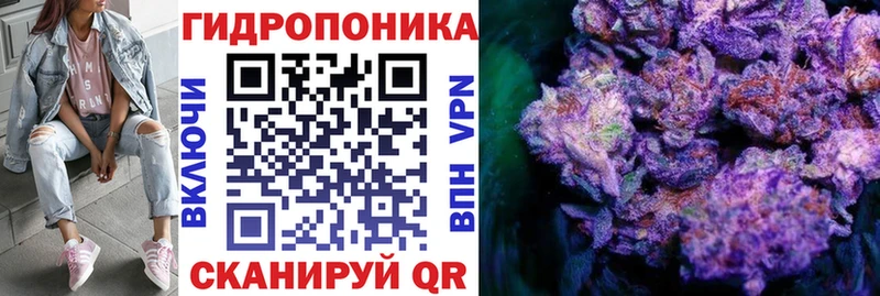 магазин    Котельниково  площадка состав  Марихуана конопля 